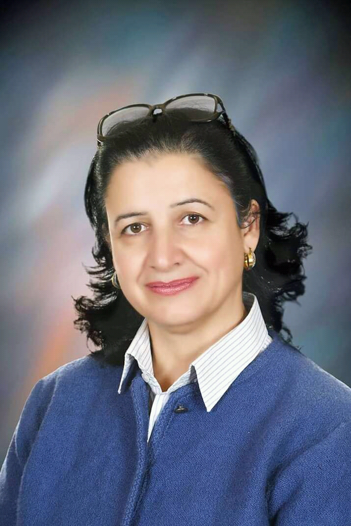 ميسون حمزة غزلان